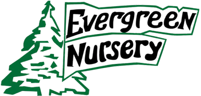 Company Header Logo